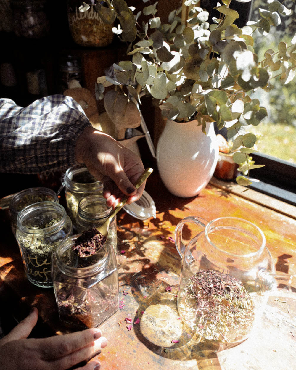 Dried hibiscus, nettle, and herbs scattered on a wooden table