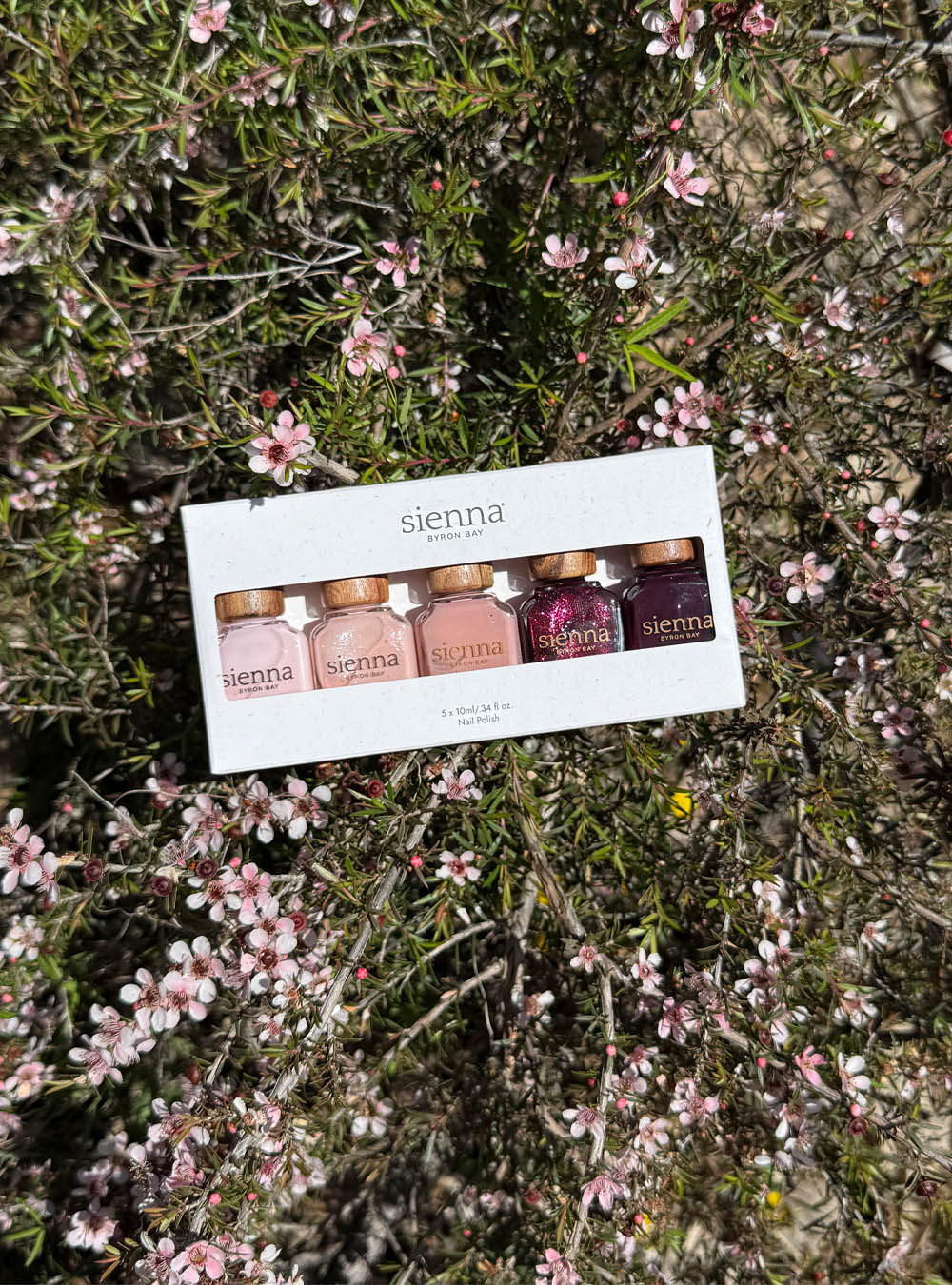 The Midsummer Collection in the Sienna recycled cardboard box amongst a field of Geraldton Wax flower. 