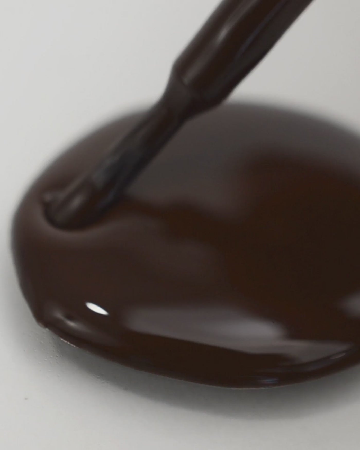 chocolate brown nail polish drop by sienna